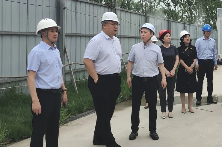 成都市新津區副區長(cháng)李明到成都區域項目檢查指導工作.jpg